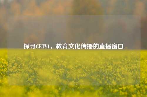 探寻CETV1,教育文化传播的直播窗口