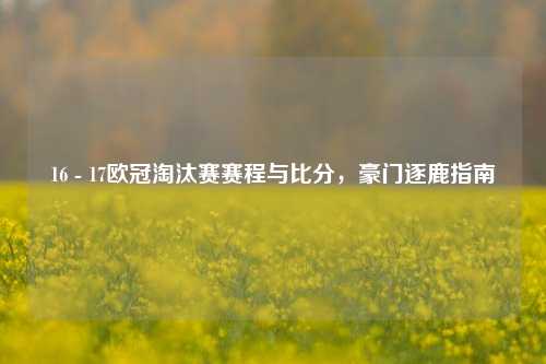 16 - 17欧冠淘汰赛赛程与比分,豪门逐鹿指南