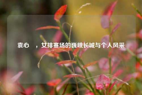 袁心玥,女排赛场的巍峨长城与个人风采