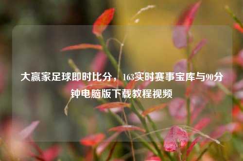 大赢家足球即时比分,163实时赛事宝库与90分钟电脑版下载教程视频
