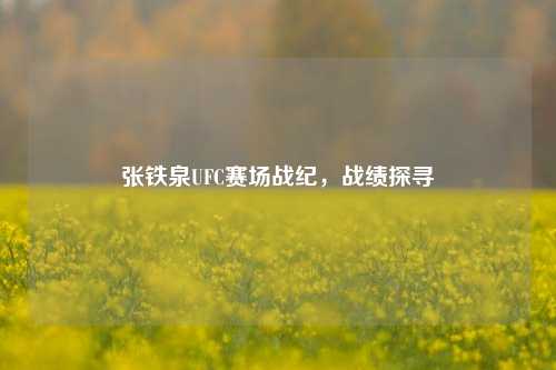 张铁泉UFC赛场战纪,战绩探寻