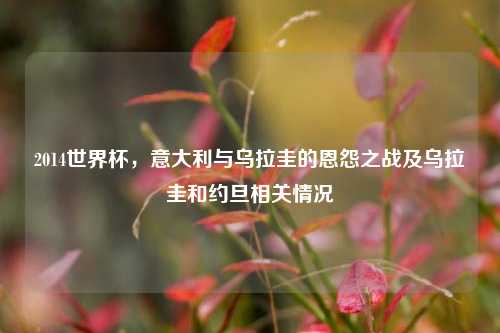 2014世界杯,意大利与乌拉圭的恩怨之战及乌拉圭和约旦相关情况
