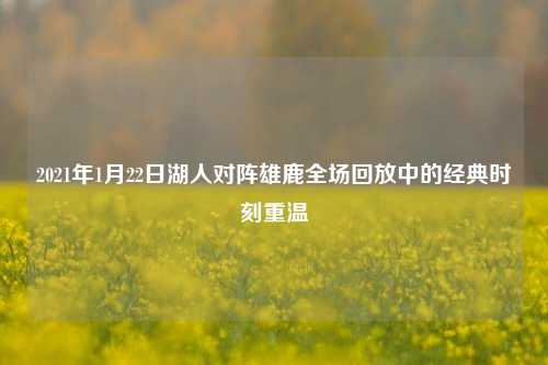 2021年1月22日湖人对阵雄鹿全场回放中的经典时刻重温