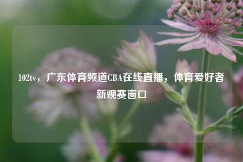 102tv,广东体育频道CBA在线直播,体育爱好者新观赛窗口