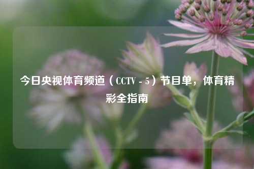 今日央视体育频道(CCTV - 5)节目单,体育精彩全指南