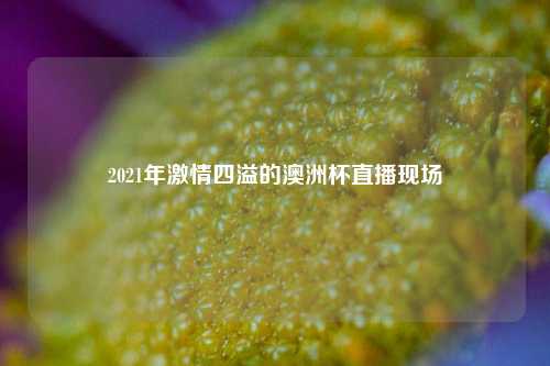 2021年 四溢的澳洲杯直播现场