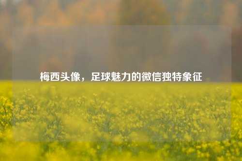 梅西头像,足球魅力的微信独特象征