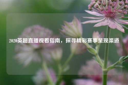 2020英超直播观看指南,探寻精彩赛事呈现渠道