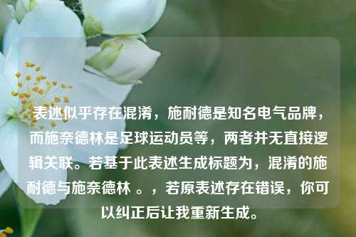 表述似乎存在混淆,施耐德是知名电气品牌,而施奈德林是足球运动员等,两者并无直接逻辑关联。若基于此表述生成标题为,混淆的施耐德与施奈德林 。,若原表述存在错误,你可以纠正后让我重新生成。