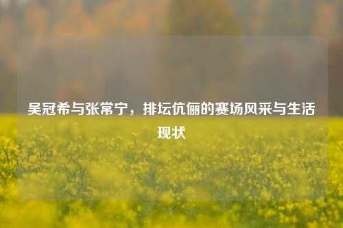 吴冠希与张常宁,排坛伉俪的赛场风采与生活现状