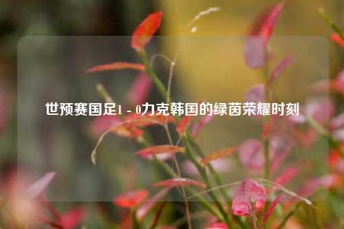世预赛国足1 - 0力克韩国的绿茵荣耀时刻