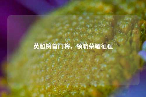 英超榜首门将,领航荣耀征程