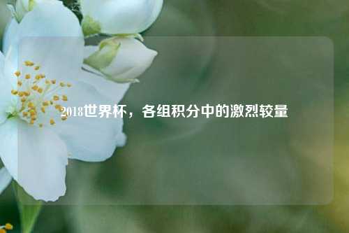 2018世界杯,各组积分中的激烈较量