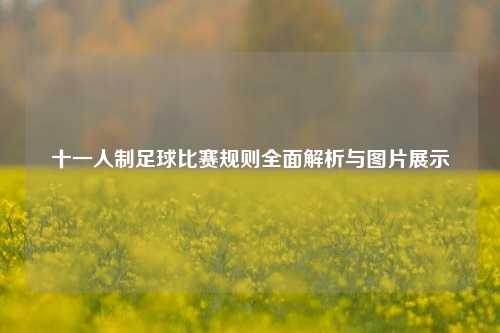 十一人制足球比赛规则全面解析与图片展示