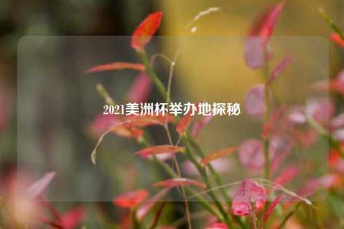2021美洲杯举办地探秘