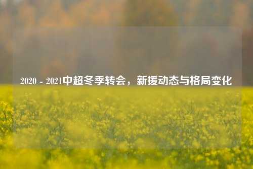 2020 - 2021中超冬季转会,新援动态与格局变化