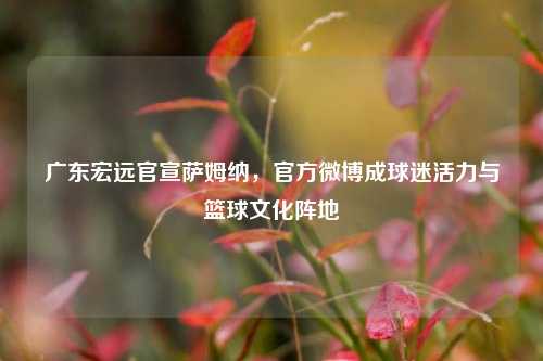 广东宏远官宣萨姆纳,官方微博成球迷活力与篮球文化阵地