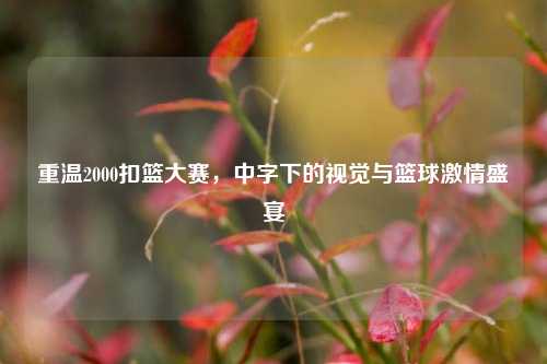 重温2000扣篮大赛,中字下的视觉与篮球 盛宴