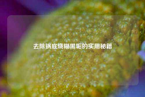去除锅底烧糊黑垢的实用秘籍