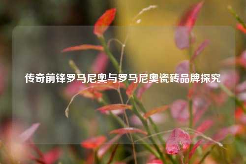 传奇前锋罗马尼奥与罗马尼奥瓷砖品牌探究