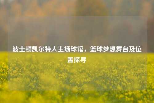 波士顿凯尔特人主场球馆,篮球梦想舞台及位置探寻